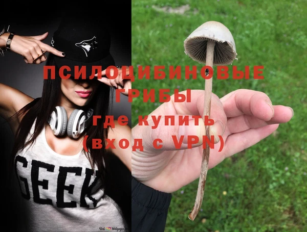 героин Каменка
