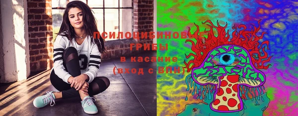герыч Каменногорск