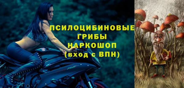 герыч Каменногорск