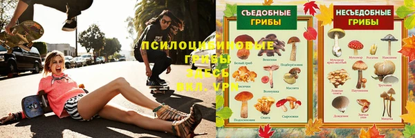 герыч Каменногорск